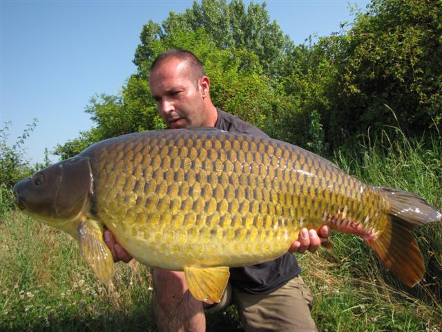 35