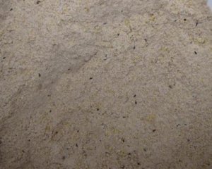 Sweet Belachan Mix