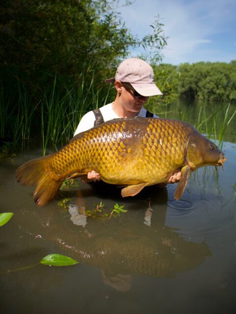 Bild zum Sonntag

@_jonas_carplife erfolgreich mit unserer Base Mix Pop Up Serie 💛 Wenig Futter, dafür auffällig und Hoch Attraktiv 

Base Mix Pop Ups: 

• Aus den originalen Boiliemixen hergestellt 
• Erhöhter Attraktoranteil für maximale Lockwirkung 
• Starker Auftrieb für ca. 6–8 Stunden
• Geben kontinuierlich wasserlösliche Lockstoffe ab
• Perfekt abgestimmt auf die jeweiligen Boilies 

[WERBUNG] 
🌐 Alle Produkte: auf unserer Homepage
📸 Fangbilder: schick sie uns per DM!

📞 Kontakt:
📱 WhatsApp: 0171 2736310
📧 carptimebaits@web.de
💬 Instagram & Facebook DM