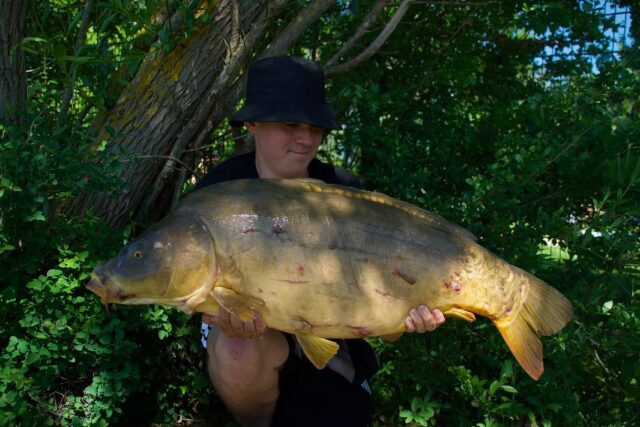 Die Laichzeit ist an vielen Gewässern vorbei so auch bei @_jonas_carplife 

Genau jetzt spielt der Krill SF seine Stärken aus. 

Mit seiner attraktiven Rezeptur konnte er auch nach der Laichzeit überzeugen und sorgte für erfolgreiche Stunden am Wasser. Wieder einmal ein Beweis dafür, warum der Krill SF zu den absoluten Vertrauensködern im Carptime-Sortiment gehört.

[WERBUNG] 
🌐 Alle Produkte: auf unserer Homepage
📸 Fangbilder: schick sie uns per DM!

📞 Kontakt:
📱 WhatsApp: 0171 2736310
📧 carptimebaits@web.de
💬 Instagram & Facebook DM