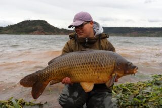 🌊 Lac du Salagou – Abenteuer, Ausdauer und Vertrauen 🌊

1400 Kilometer Anreise, unzählige Gedanken und ein klares Ziel vor Augen. Für @_joshi_carplife_ und @colin.stein.carpangler ging es zurück an den legendären Salagou – im Gepäck Crazy Orange und ein Wunschboilie von Carptime. 

Der Start verlief vielversprechend, doch der Wetterumschwung machte die Fische schwer greifbar. Während viele Teams am See ohne Fisch blieben, hieß es für die beiden: beobachten, anpassen und weiterkämpfen.

Erst die Drohne brachte die entscheidende Erkenntnis: Die Karpfen standen direkt im flachen Wasser. Also änderten Sie die Taktik komplett und legten die Ruten nur wenige Meter vom Ufer entfernt ab.

Die Belohnung ließ nicht lange auf sich warten. In den letzten Tagen konnten Sie noch mehrere wunderschöne Salagou-Karpfen landen – hart erarbeitete Fische, die mehr bedeuten als jede Zahl auf der Waage.

Solche Trips erinnern uns daran, warum wir diese Reisen auf uns nehmen: Für die Abenteuer, die Herausforderungen und die Momente, in denen sich Ausdauer und Vertrauen auszahlen.

„Ein großes Dankeschön an Reiko und die Carptime-Boilies. Wenn wir einer Sache blind vertrauen, dann diesen Ködern.🙏“
WERBUNG] 
🌐 Alle Produkte: auf unserer Homepage
📸 Fangbilder: schick sie uns per DM!

📞 Kontakt:
📱 WhatsApp: 0171 2736310
📧 carptimebaits@web.de
💬 Instagram & Facebook DM