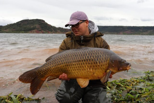 🌊 Lac du Salagou – Abenteuer, Ausdauer und Vertrauen 🌊

1400 Kilometer Anreise, unzählige Gedanken und ein klares Ziel vor Augen. Für @_joshi_carplife_ und @colin.stein.carpangler ging es zurück an den legendären Salagou – im Gepäck Crazy Orange und ein Wunschboilie von Carptime. 

Der Start verlief vielversprechend, doch der Wetterumschwung machte die Fische schwer greifbar. Während viele Teams am See ohne Fisch blieben, hieß es für die beiden: beobachten, anpassen und weiterkämpfen.

Erst die Drohne brachte die entscheidende Erkenntnis: Die Karpfen standen direkt im flachen Wasser. Also änderten Sie die Taktik komplett und legten die Ruten nur wenige Meter vom Ufer entfernt ab.

Die Belohnung ließ nicht lange auf sich warten. In den letzten Tagen konnten Sie noch mehrere wunderschöne Salagou-Karpfen landen – hart erarbeitete Fische, die mehr bedeuten als jede Zahl auf der Waage.

Solche Trips erinnern uns daran, warum wir diese Reisen auf uns nehmen: Für die Abenteuer, die Herausforderungen und die Momente, in denen sich Ausdauer und Vertrauen auszahlen.

„Ein großes Dankeschön an Reiko und die Carptime-Boilies. Wenn wir einer Sache blind vertrauen, dann diesen Ködern.🙏“
WERBUNG] 
🌐 Alle Produkte: auf unserer Homepage
📸 Fangbilder: schick sie uns per DM!

📞 Kontakt:
📱 WhatsApp: 0171 2736310
📧 carptimebaits@web.de
💬 Instagram & Facebook DM