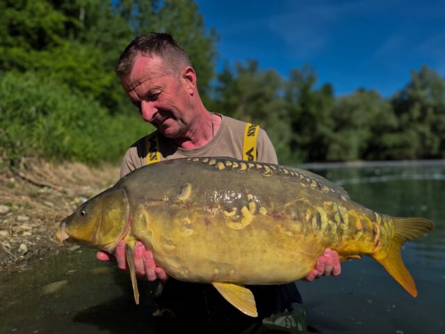 Sweet Source - ein Köder der abliefert, richtig eingesetzt kann man wahre Sternstunden am Wasser erleben, so wie @trautmannklaus und @falk.strepkowski 

[WERBUNG] 
🌐 Alle Produkte: auf unserer Homepage
📸 Fangbilder: schick sie uns per DM!

📞 Kontakt:
📱 WhatsApp: 0171 2736310
📧 carptimebaits@web.de
💬 Instagram & Facebook DM