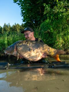 Die Perle und das Beast. 

Zwei außergewöhnliche Fische – der eine pure Schönheit, der andere ein echtes Schwergewicht. Was will man mehr?

Beide konnte @karl_carpfishing auf unseren Leber-Wunschboilie überlistet werden.

Interesse an einem individuellen Wunschboilie? Schreibt uns gerne per DM oder WhatsApp 🧡🧡
[WERBUNG] 
🌐 Alle Produkte: auf unserer Homepage
📸 Fangbilder: schick sie uns per DM!

📞 Kontakt:
📱 WhatsApp: 0171 2736310
📧 carptimebaits@web.de
💬 Instagram & Facebook DM