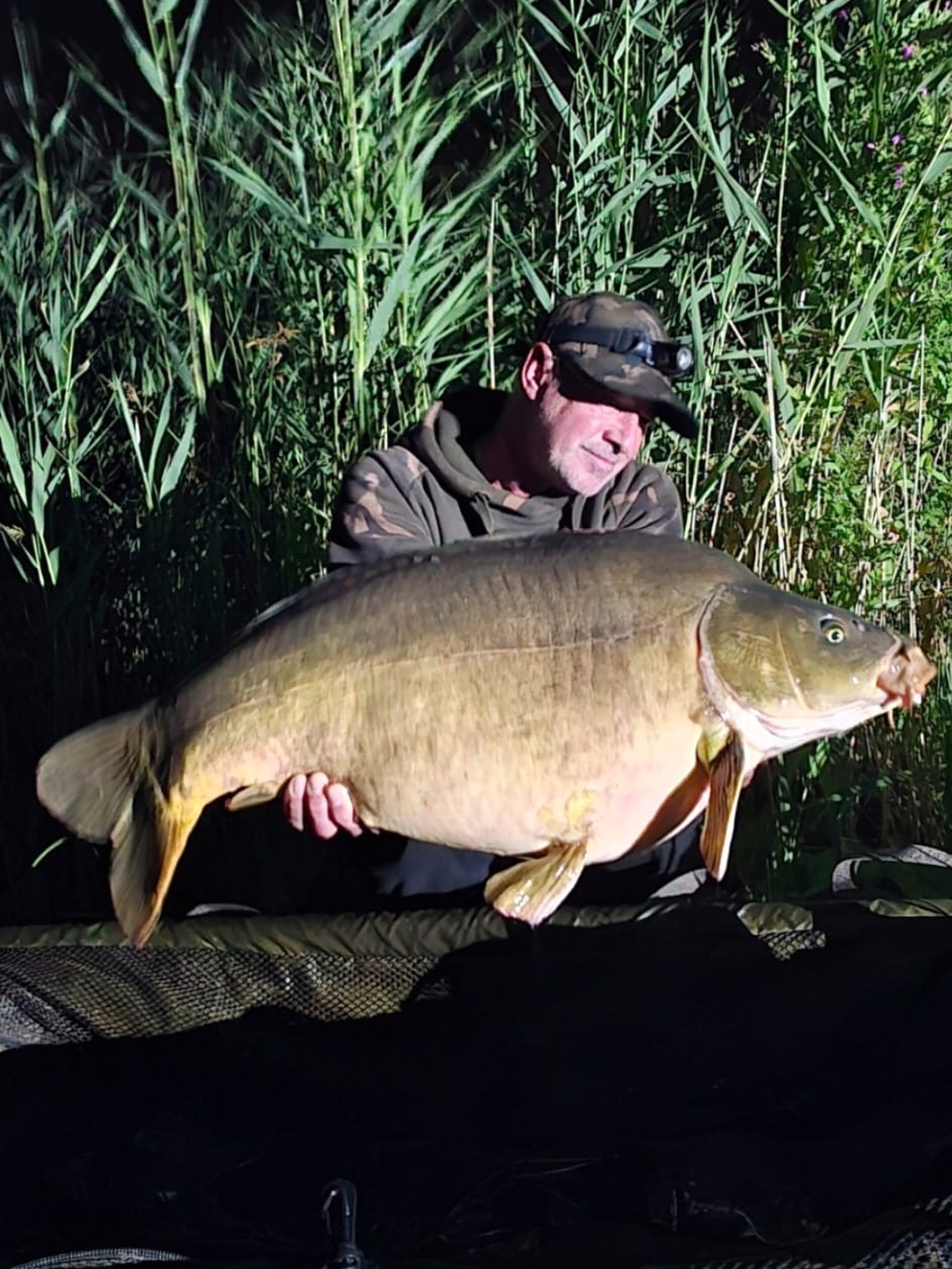 Keep it simple. 

Der Wetterumschwung brachte ordentlich Schwung auf die Plätze und Mario konnte diesen schönen Fisch auf einen Krill SF Pop Up am Spinner Rig überlisten. 

Manchmal braucht es eben nicht mehr als einen guten Köder und eine saubere Präsentation am Spinner Rig.
[WERBUNG] 
🌐 Alle Produkte: auf unserer Homepage
📸 Fangbilder: schick sie uns per DM!

📞 Kontakt:
📱 WhatsApp: 0171 2736310
📧 carptimebaits@web.de
💬 Instagram & Facebook DM