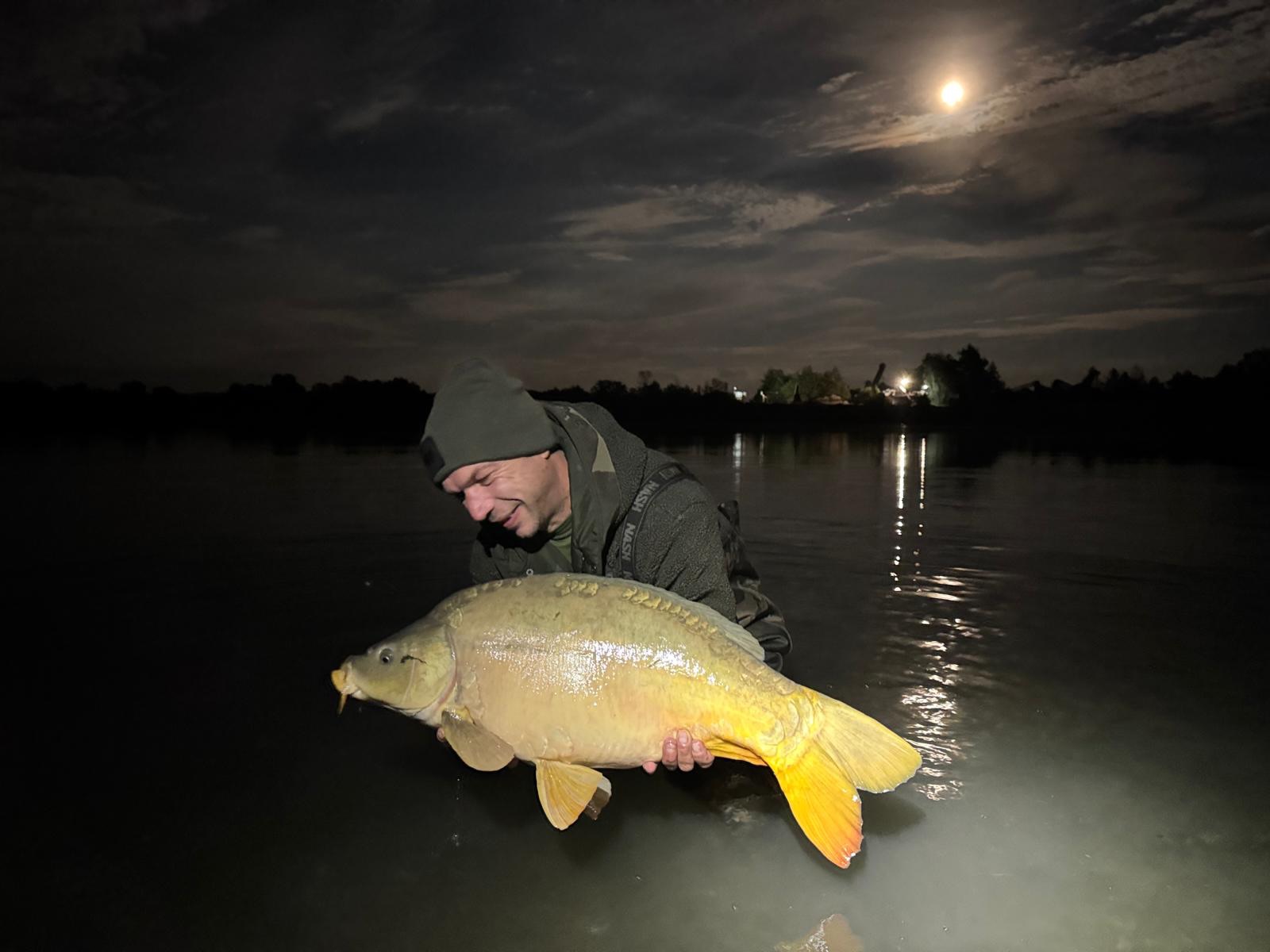 Happy-Overnighter
Der Futterplatz lief – und wie für Tommy 
Dicke Belohnung für die kurze Nacht. 💪🐟

[Werbung]

🌐alle Produkte bei uns auf der Homepage 
📸Fangbilder DM an uns 

📞 Kontakt
📱 0171 2736310 (WhatsApp) 
📧 carptimebaits@web.de
💬 Nachrichten via Instagram / Facebook