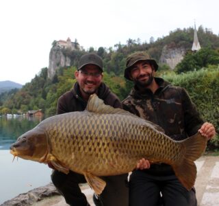 *** Bleder Gold ***

Wahrscheinlich einer der längsten Fische aus dem Bleder See !
Weiter geht’s mit einem weiteren Carptime Liebhaber aus @eh1_82 82  und @riedel.r93 Bilder Galerie! Es kommt noch viel dicker- seid gespannt 🧡

[WERBUNG] 
🌐 Alle Produkte: auf unserer Homepage
📸 Fangbilder: schick sie uns per DM!

📞 Kontakt:
📱 WhatsApp: 0171 2736310
📧 carptimebaits@web.de
💬 Instagram & Facebook DM