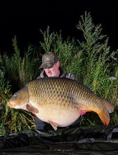 Mario ahnte nach dem harten Drill noch nicht, was für ein Ausnahmefisch da gerade in seinem Kescher gelandet war.

Zum Biss verführt wurde dieser Koloss mit Krill SF Boilies von Carptime Baits.

[Werbung]

🌐alle Produkte bei uns auf der Homepage 
📸Fangbilder DM an uns 

📞 Kontakt
📱 0171 2736310 (WhatsApp) 
📧 carptimebaits@web.de
💬 Nachrichten via Instagram / Facebook