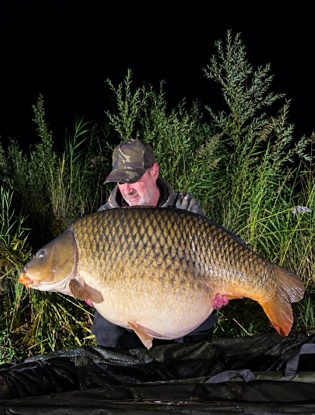 Mario ahnte nach dem harten Drill noch nicht, was für ein Ausnahmefisch da gerade in seinem Kescher gelandet war.

Zum Biss verführt wurde dieser Koloss mit Krill SF Boilies von Carptime Baits.

[Werbung]

🌐alle Produkte bei uns auf der Homepage 
📸Fangbilder DM an uns 

📞 Kontakt
📱 0171 2736310 (WhatsApp) 
📧 carptimebaits@web.de
💬 Nachrichten via Instagram / Facebook